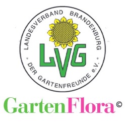 Verbandsinformationen Brandenburger GartenFlora 01/2022